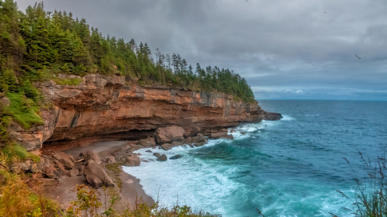 Falaises en bord de mer sur l'île Bonaventure