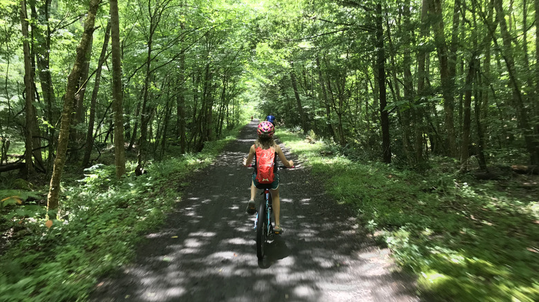 Girl riding bike à travers la forêt