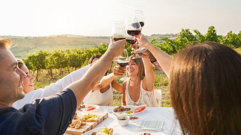 Un groupe porte un toast au vin rouge en plein air dans un vignoble ensoleillé