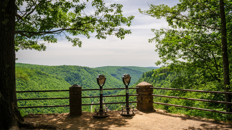 Zone d'observation surplombant les gorges de Pine Creek en Pennsylvanie