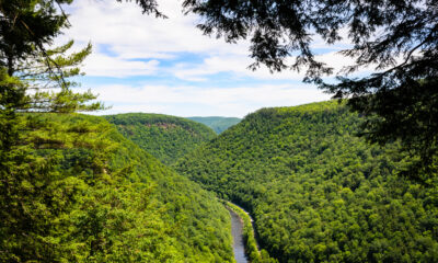 Un parc d'État sous-estimé abrite le « Grand Canyon de Pennsylvanie »