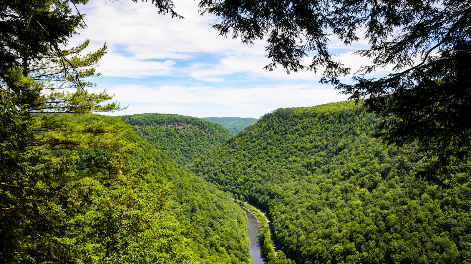 Un parc d'État sous-estimé abrite le « Grand Canyon de Pennsylvanie »