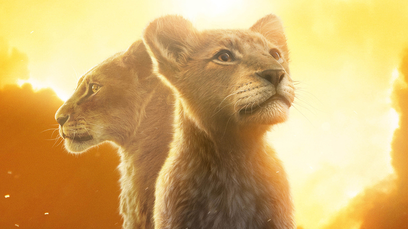 Mufasa : Le Roi Lion dépasse Sonic et domine le box-office lors du troisième week-end