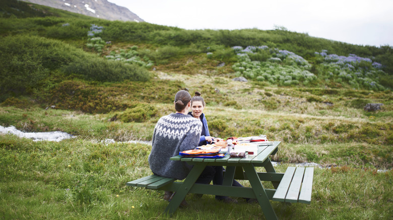 Couple pique-nique dans les régions rurales de l'Islande