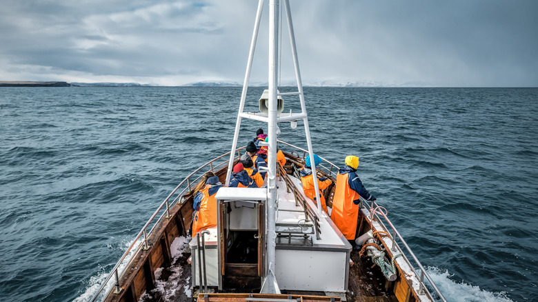 Pêcheurs islandais en mer