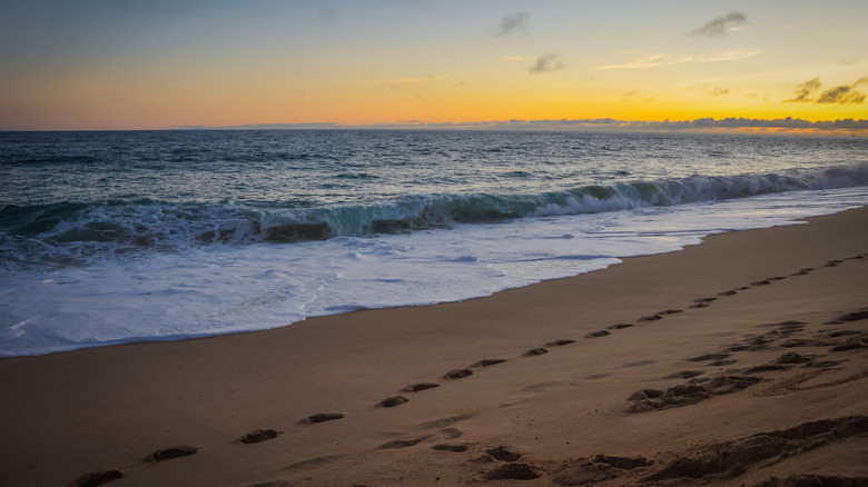 Coucher de soleil sur Playa Solmar à Cabo San Lucas, Mexique