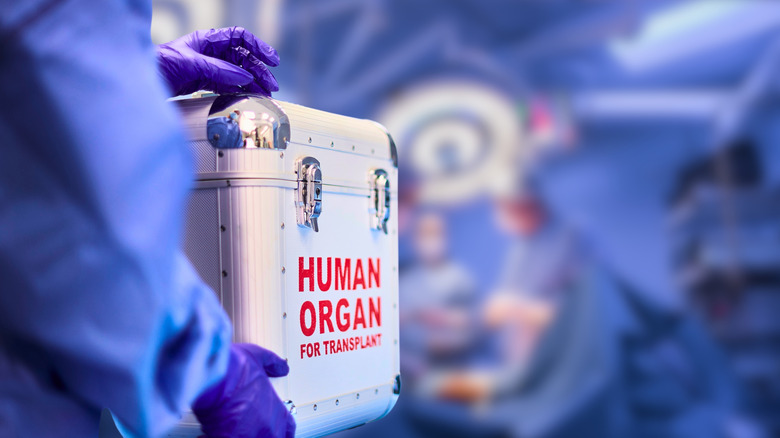 Boîte pour transplantation d'organes