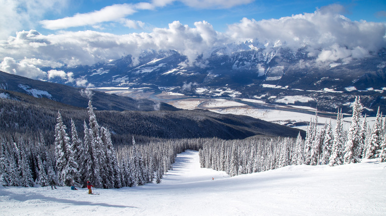 Piste de ski de Revelstoke Mountain lors d'une journée d'oiseau bleu