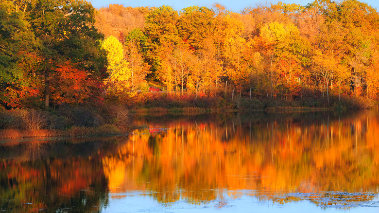 Lac Punderson à l'automne