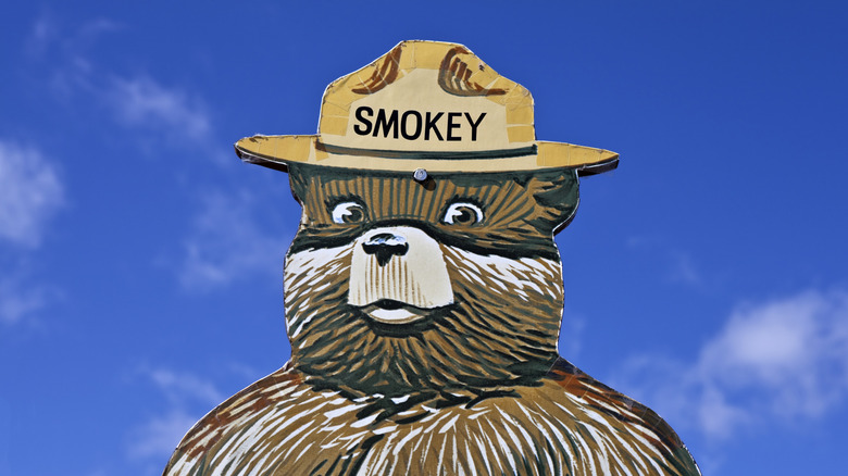 Panneau découpé Smokey Bear