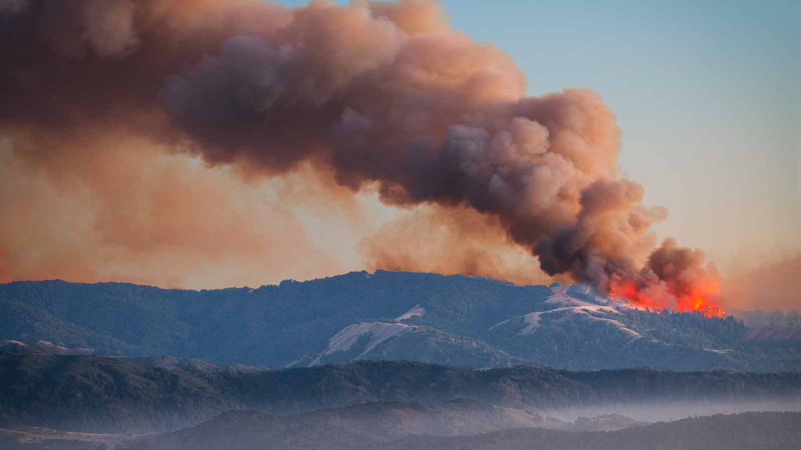 Un personnage de dessin animé emblématique porte une partie de la responsabilité des incendies de forêt dévastateurs en Californie