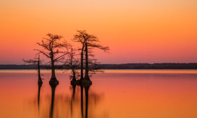 Découvrez le lac le plus unique du Tennessee dans un magnifique parc d'État pour camper, pêcher et faire de la randonnée