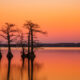 Découvrez le lac le plus unique du Tennessee dans un magnifique parc d'État pour camper, pêcher et faire de la randonnée