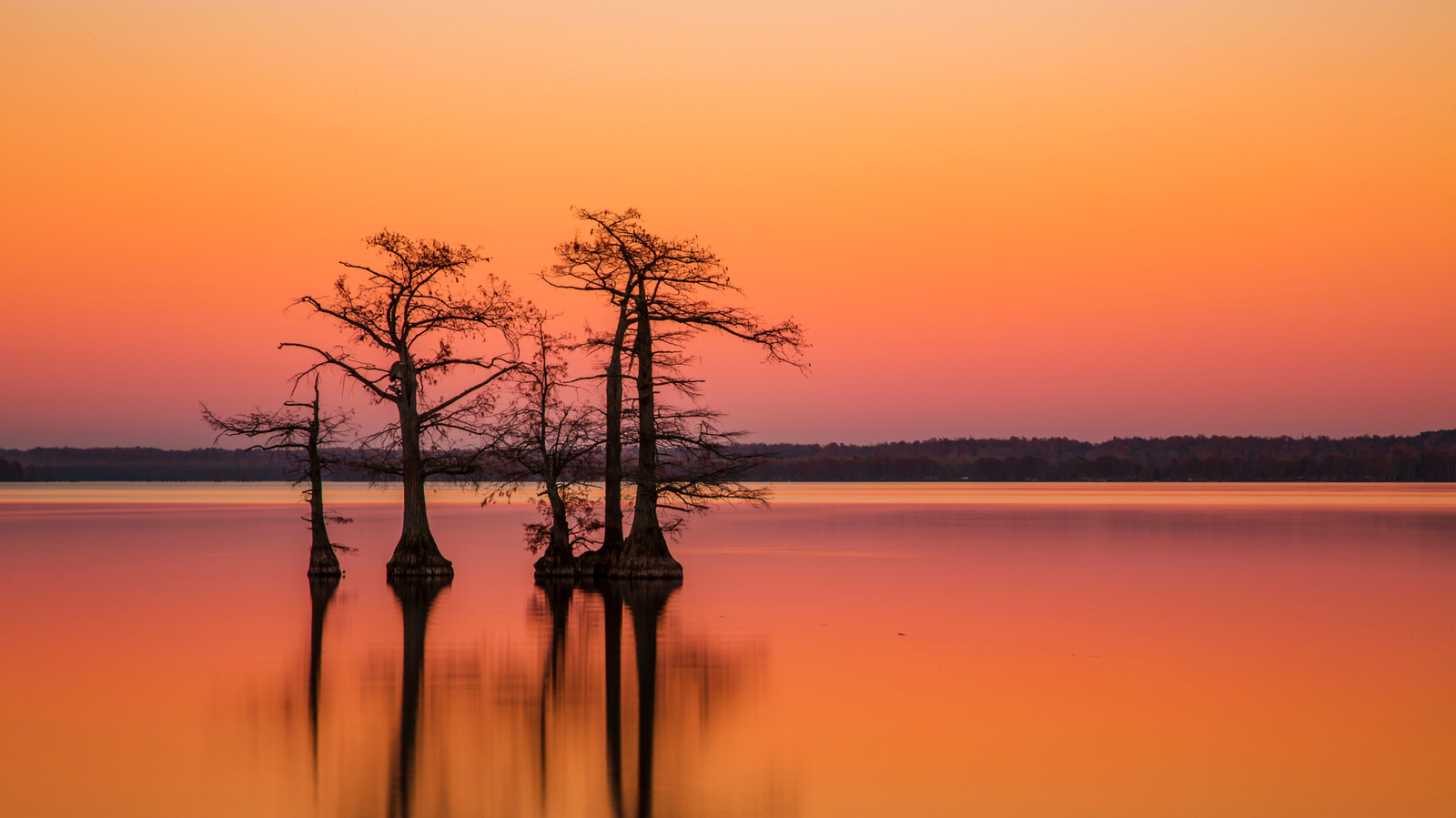 Découvrez le lac le plus unique du Tennessee dans un magnifique parc d'État pour camper, pêcher et faire de la randonnée