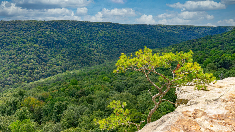 Une corniche rocheuse surplombant des montagnes couvertes d'arbres