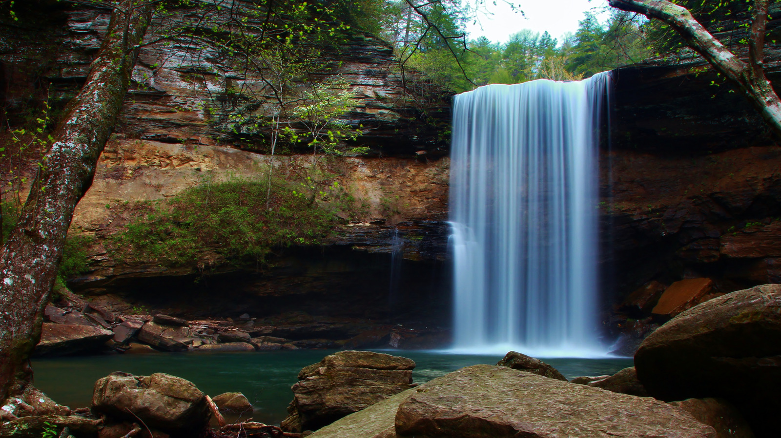 Cette randonnée pittoresque dans le Tennessee mène à une cascade majestueuse et à un trou de baignade