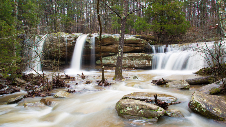 L'eau tombe en cascade sur les chutes Burden dans la forêt nationale de Shawnee, Illinois.