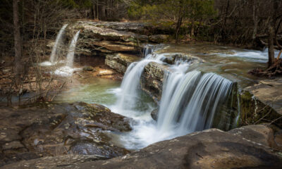 Entourez-vous de vues apaisantes et lumineuses sur la forêt verdoyante de la plus haute cascade de l'Illinois