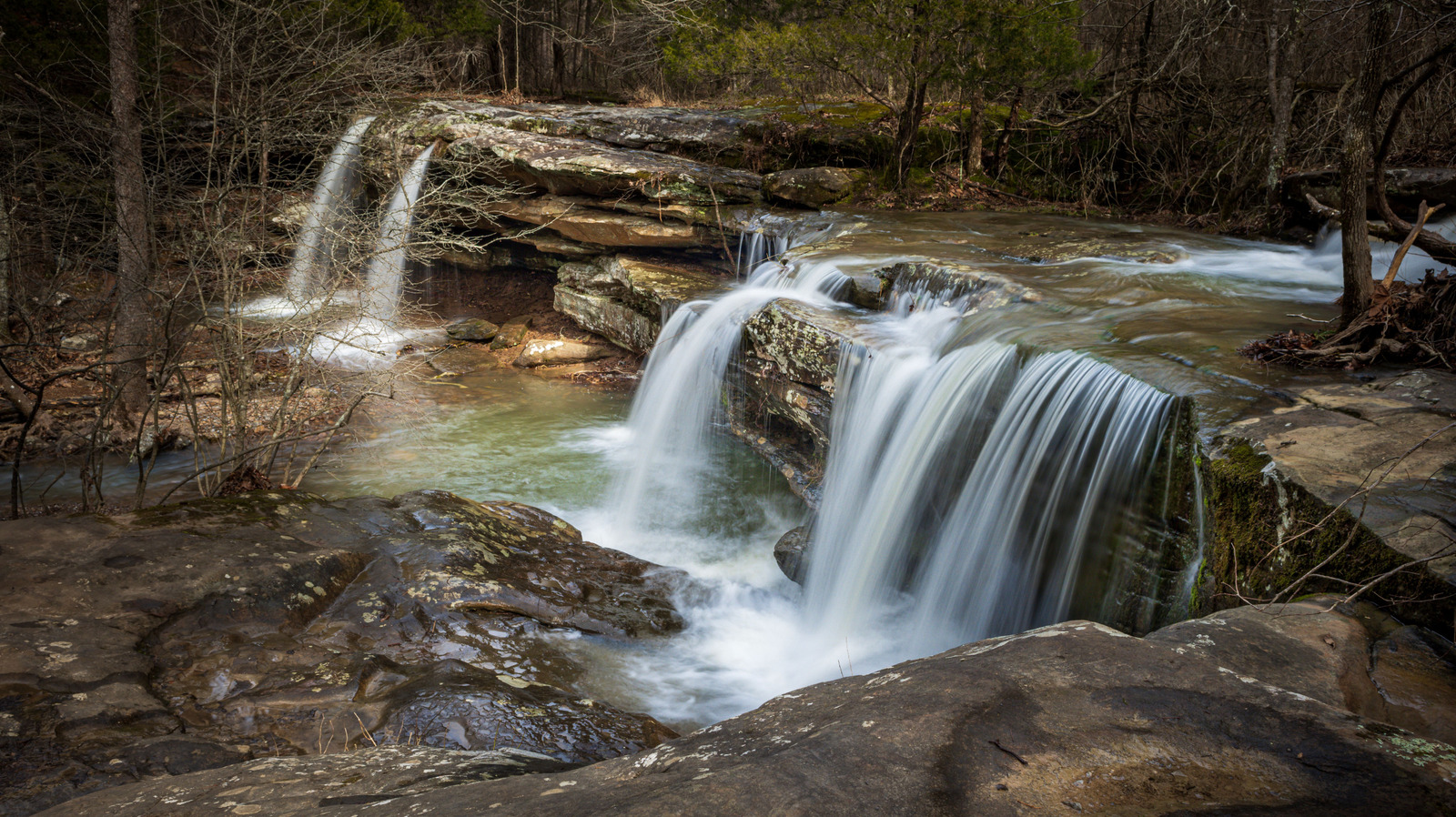 Entourez-vous de vues apaisantes et lumineuses sur la forêt verdoyante de la plus haute cascade de l'Illinois