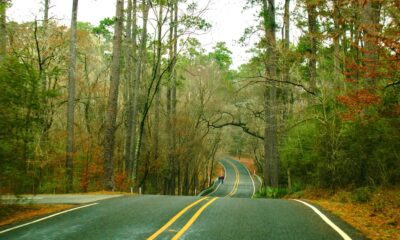 L'un des secrets les mieux gardés du Texas est une forêt nationale où les activités de plein air sont infinies