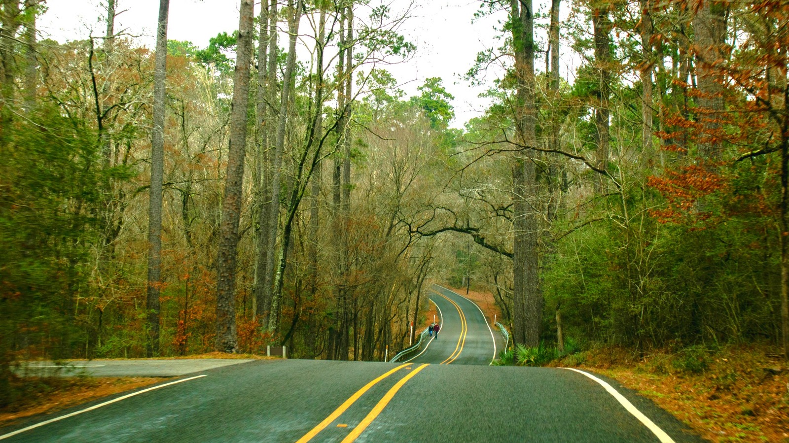 L'un des secrets les mieux gardés du Texas est une forêt nationale où les activités de plein air sont infinies