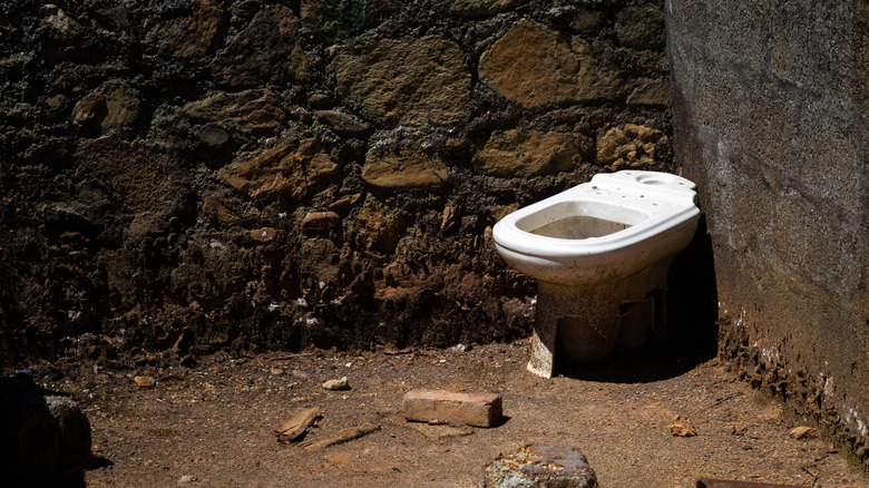 Des toilettes solitaires sans siège