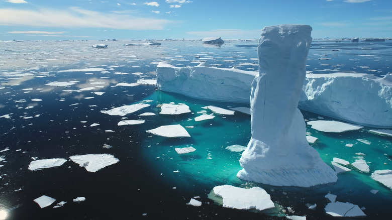 Un grand iceberg est visible au milieu d'un champ de petits icebergs flottant dans un océan bleu foncé et vert