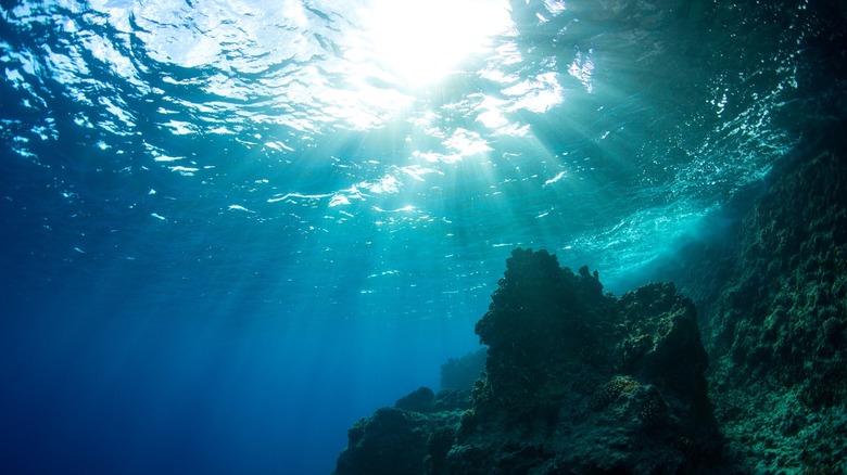 Le soleil filtre à travers la surface de l'océan alors qu'une paroi rocheuse sous-marine est visible au premier plan