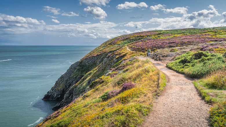 Promenade sur la falaise de Howth