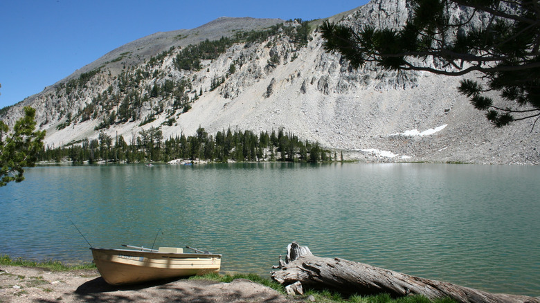 Meadow Lake devant une montagne rocheuse