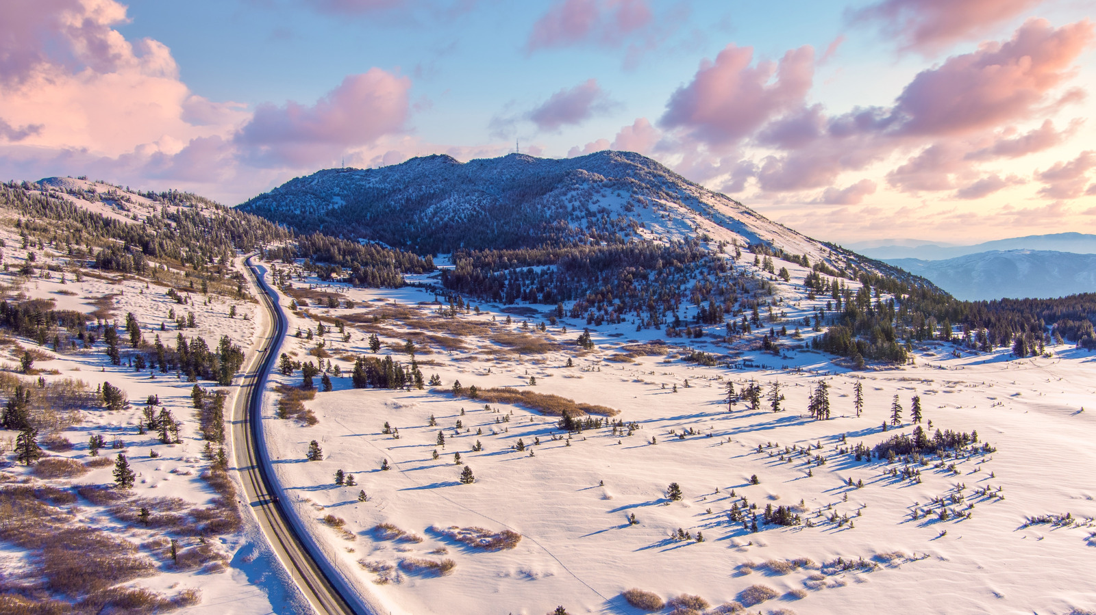 La dangereuse raison pour laquelle tant de traîneaux meurent dans les montagnes du Nevada