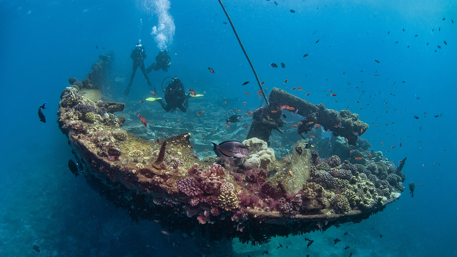 L’impressionnante découverte scientifique autrefois confondue avec un naufrage