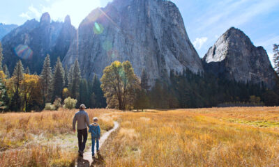 Les randonnées les plus faciles et les plus pittoresques du parc national de Yosemite pour les débutants