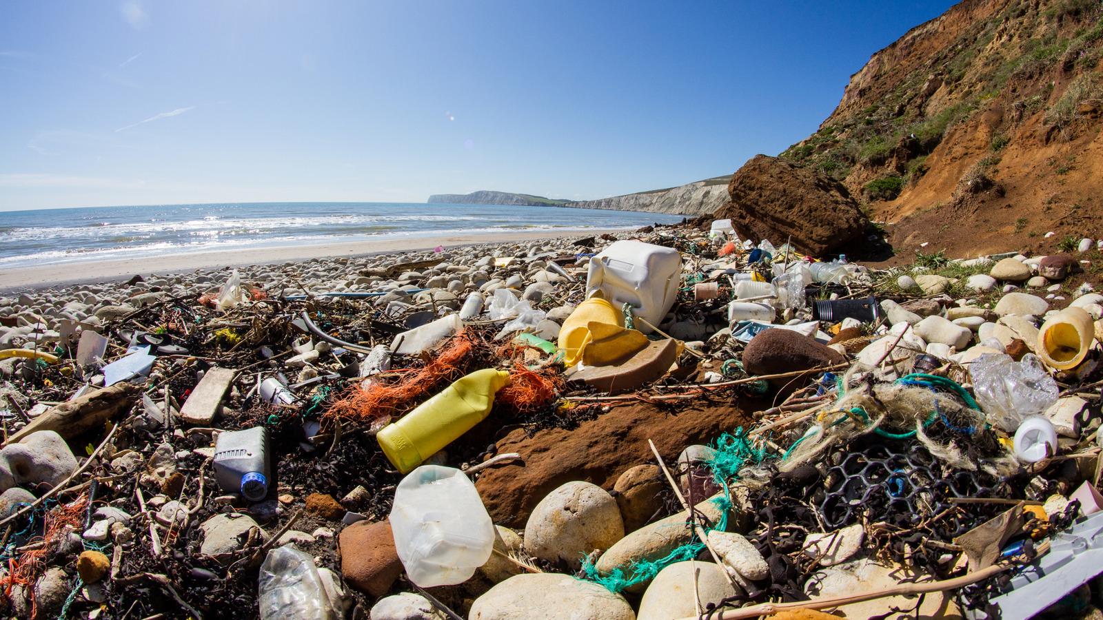 4 insectes qui peuvent réellement manger du plastique