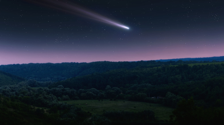 Une queue de comète vue dans le ciel de la Terre