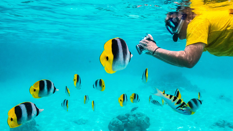 Homme en serplace de chemise jaune avec du poisson jaune et noir en Polynésie française