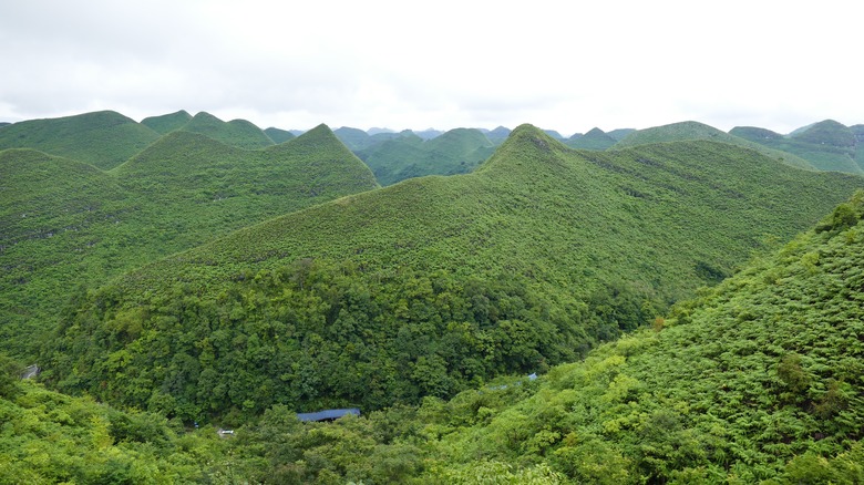 montagnes vertes luxuriantes en Chine