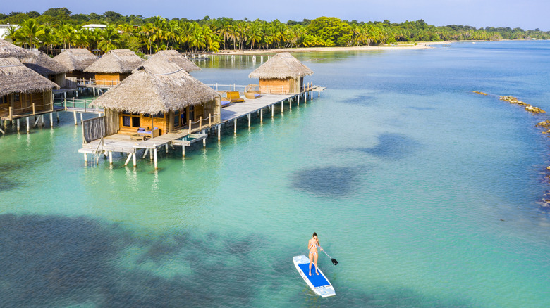 Paddle-board pour voyageurs à Bocas del Toro