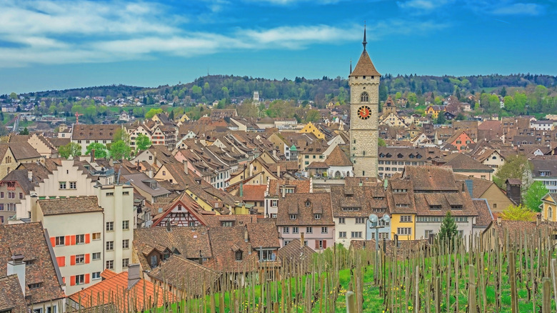 Paysage de la ville de Schaffhausen