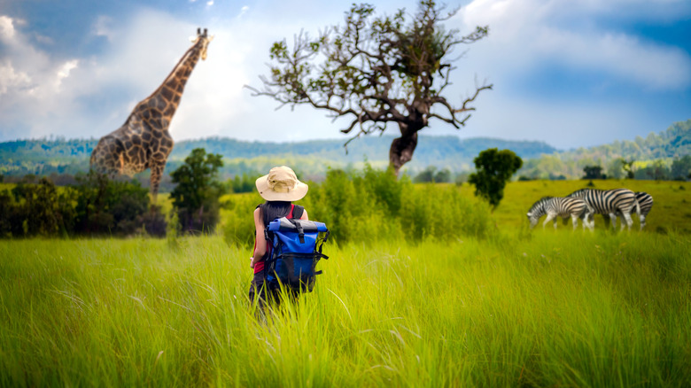 Une femme en herbe grande vue sur les animaux de gibier.