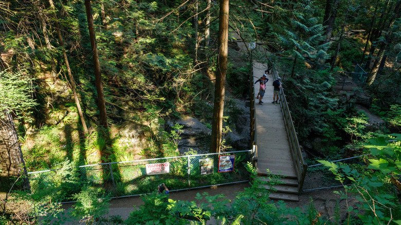 Randonneurs traversant un pont dans le parc de Lynn Canyon