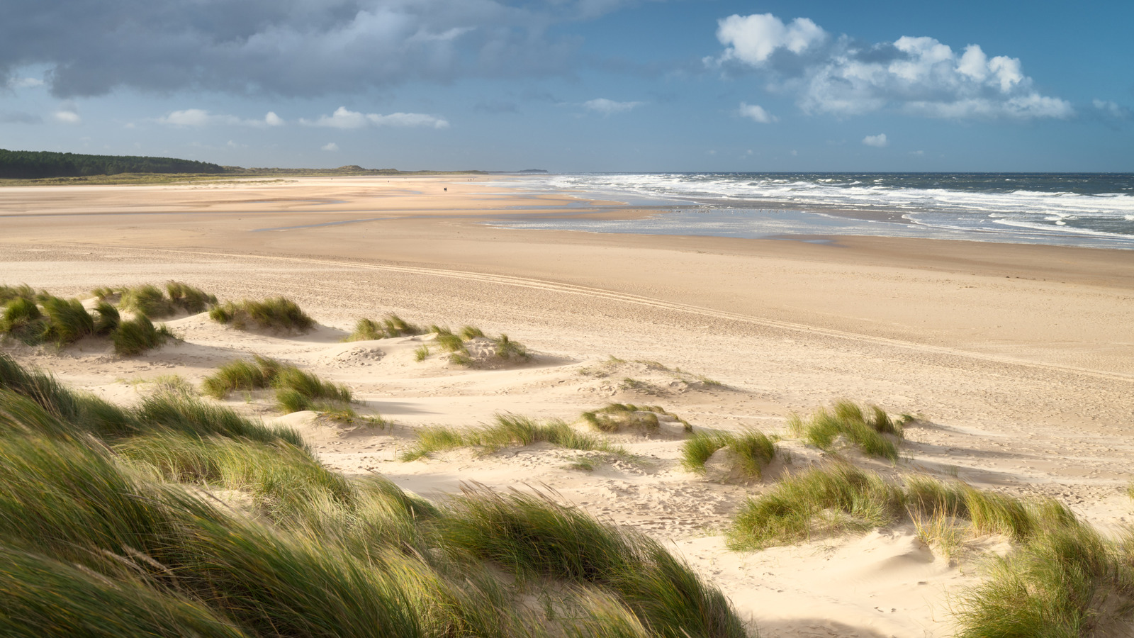 Le paradis caché de l'Angleterre pour les plages, la faune et les fruits de mer est un pur bonheur de campagne