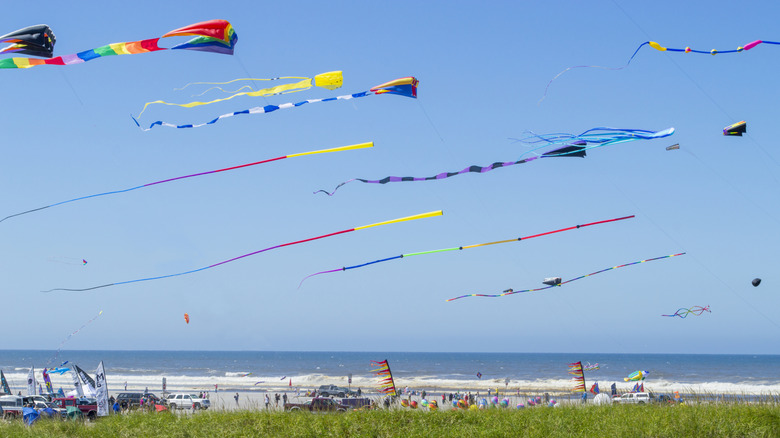 Long Beach Wa Kite Festival Kites volant sur la plage