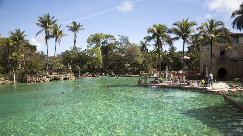 Nageurs à la piscine vénitienne de Coral Gables