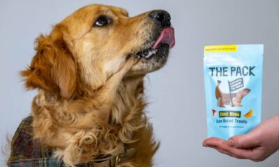 World’s first cell-cultivated meat dog treat goes on sale in store in the UK