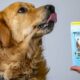 World’s first cell-cultivated meat dog treat goes on sale in store in the UK