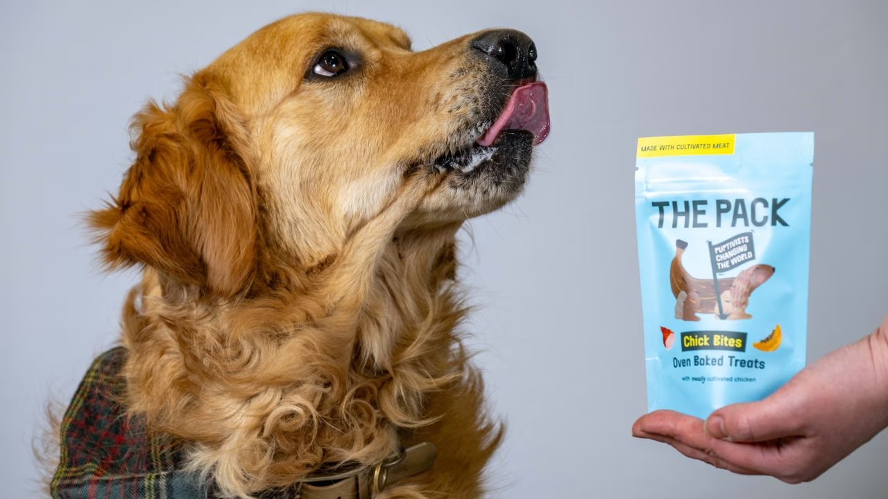 World’s first cell-cultivated meat dog treat goes on sale in store in the UK