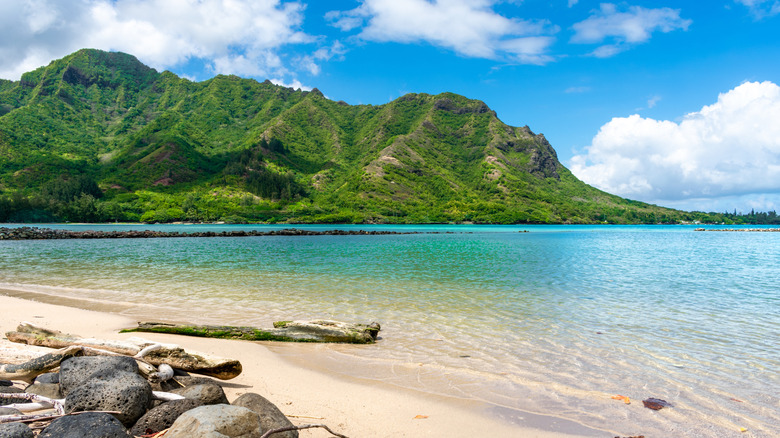 Parc de plage de la baie de Kahana