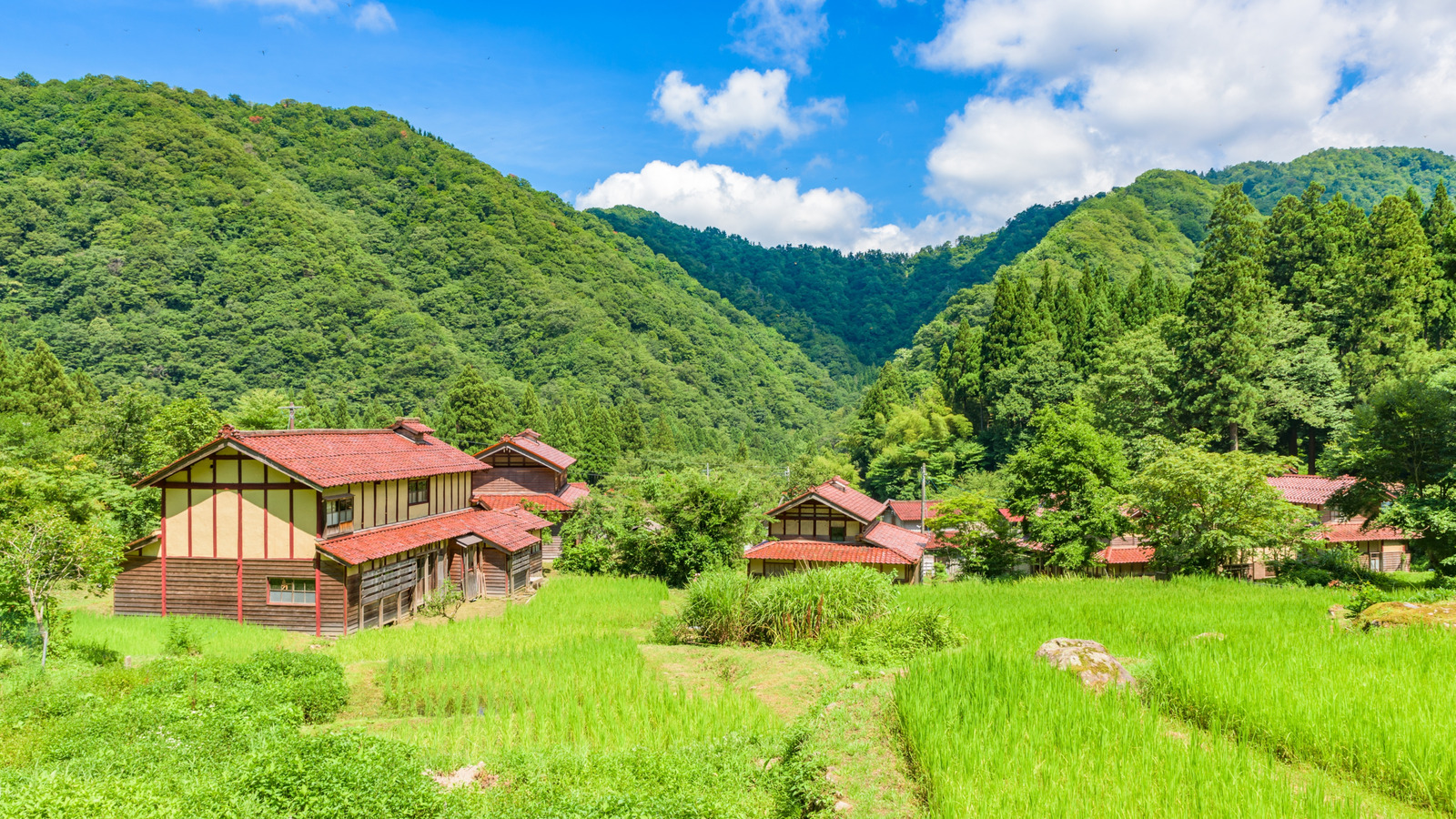 Le village japonais parfait pour la carte postale avec une population