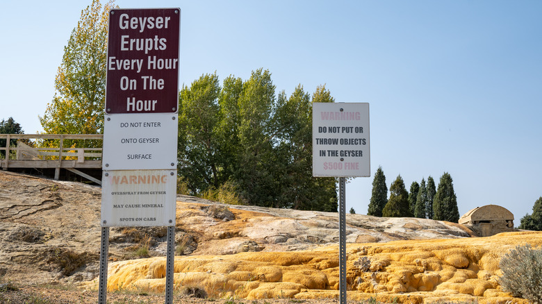 Le geyser de Geyser Park à Soda Springs, Idaho